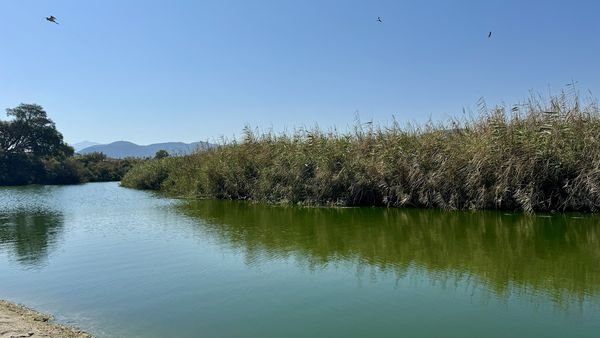 Oasi naturalistica di Aposelemis vicino a Gouves