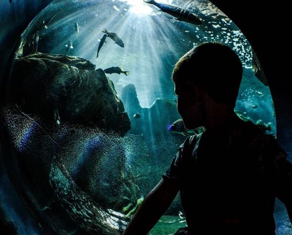 CRETAquarium Thalassokosmos a Gournes, vicino a Gouves